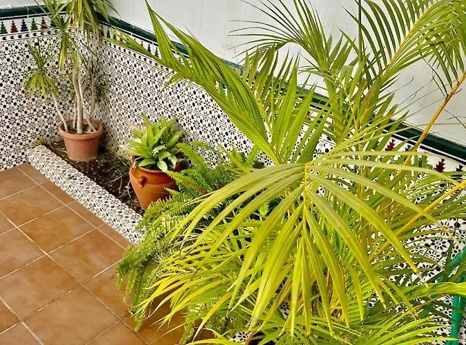 Casa Centro Mar Y Sol Holiday home