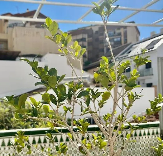 Casa Centro Mar Y Sol *