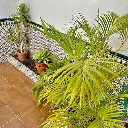 Casa Centro Mar Y Sol Ferienhaus