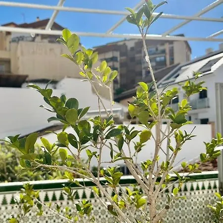 Casa Centro Mar Y Sol *