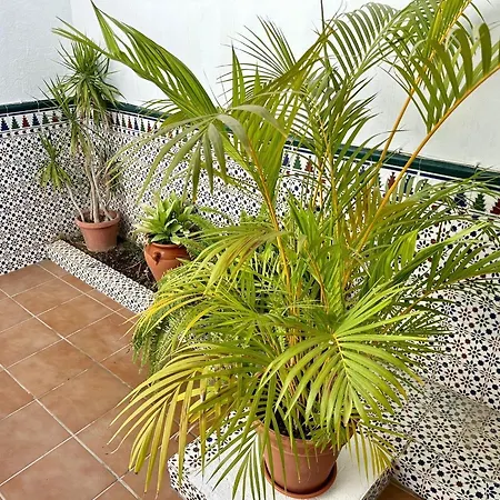 Casa Centro Mar Y Sol *